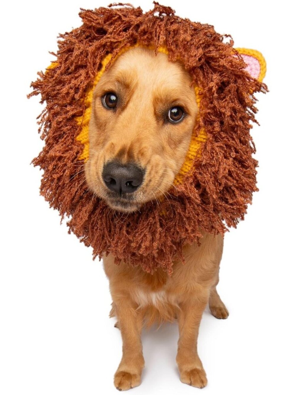 Cozy Knit Lion Mane Dog Snood - Warm Ear Wrap for Pets, Halloween & Winter